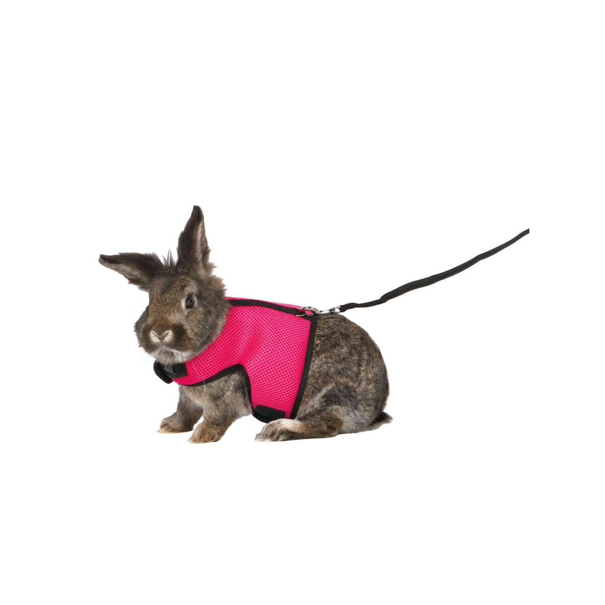 V7H52567F3CD17B52E55B66CEACAEFCCD92R7445942P10