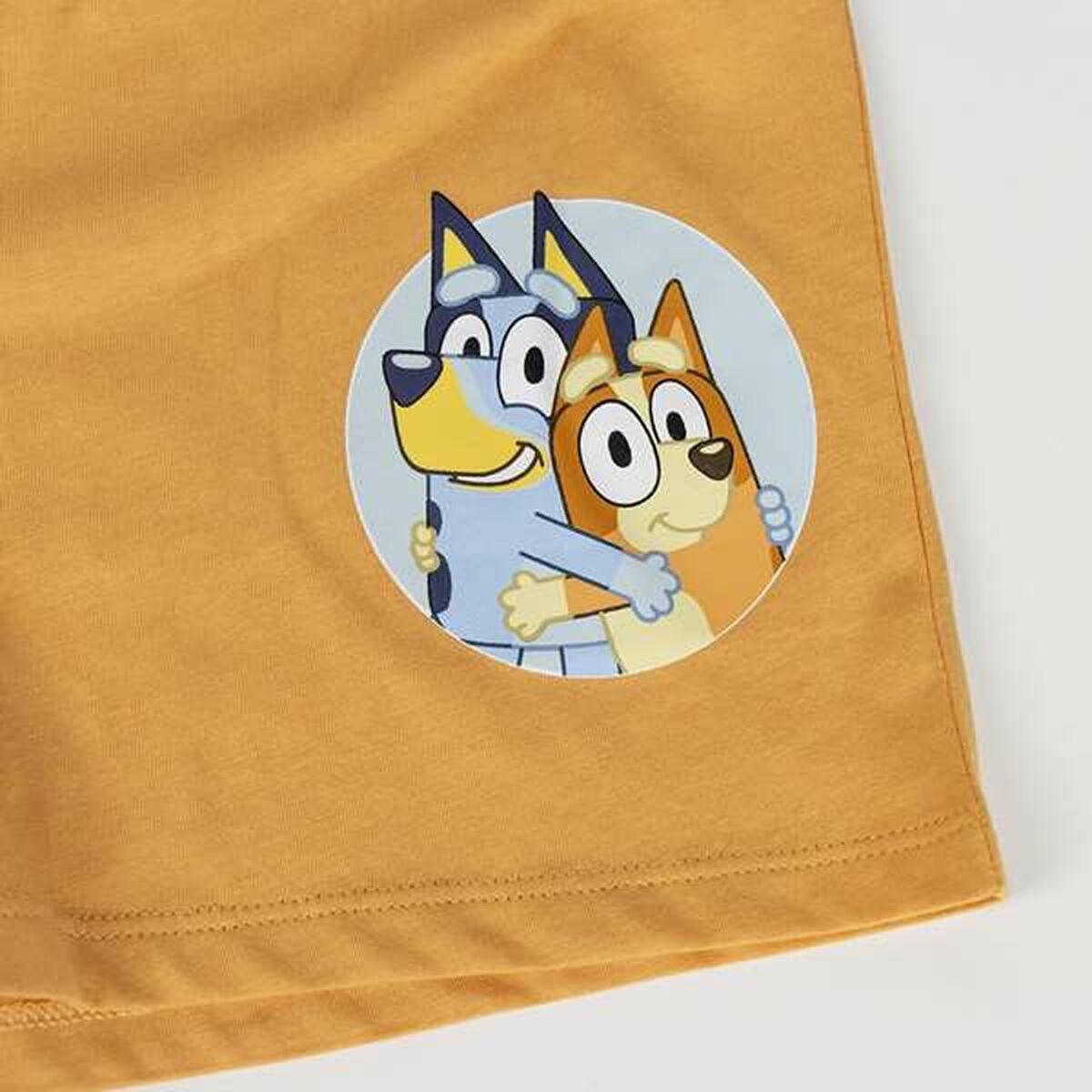 V6HE6DF99F4BDD485786AECC7A8C041CB50R5555677P4