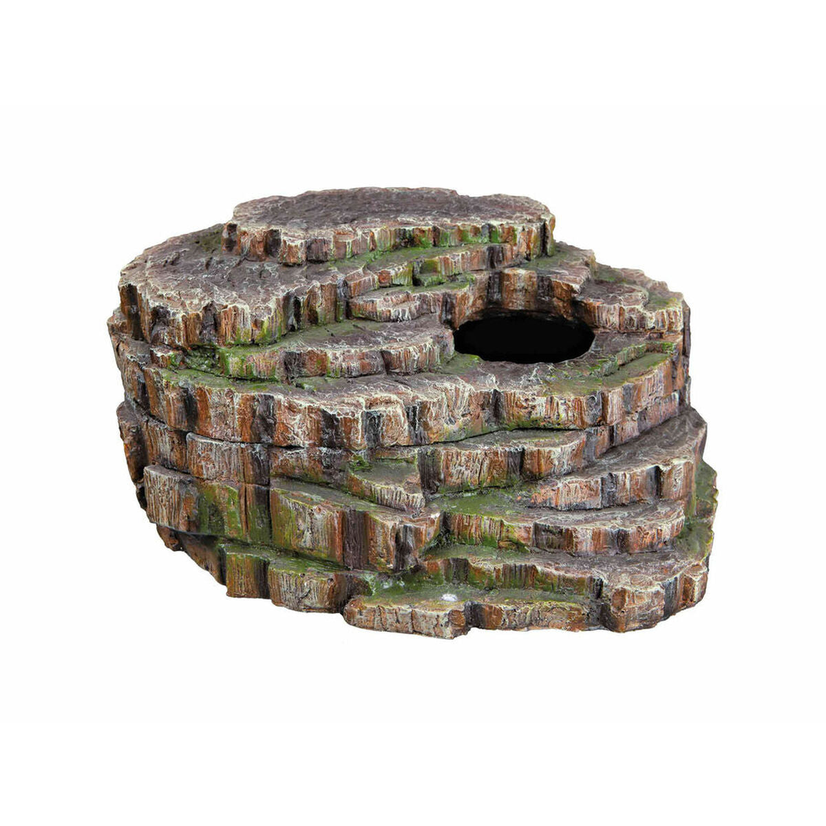 Basic terrarium kits