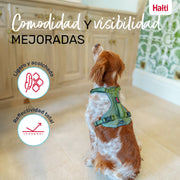 V6H3E0BF87AEBBA18F52FFABB0517A3DDE7R5328531P5
