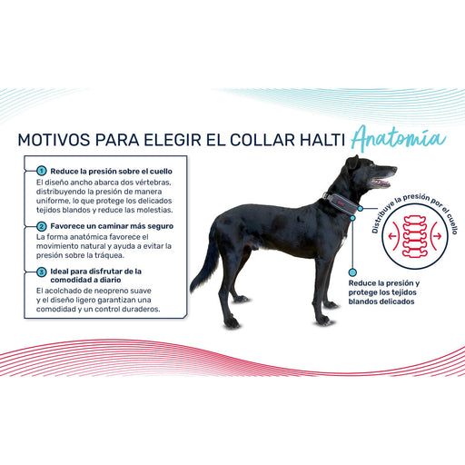 V2HDE214B61AB6F9D4AFF32DD00BA7861E9R7722745P1