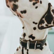 V10H3CF9C76F83792B4C9D908E0C76C0118CR1497267P3