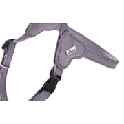 V5H169E1E3DFBB5AE15CFF8AE037A75DCA7R5575694P2