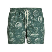 V8H238266F47A315B8ED44FF06869651587R6631069P2